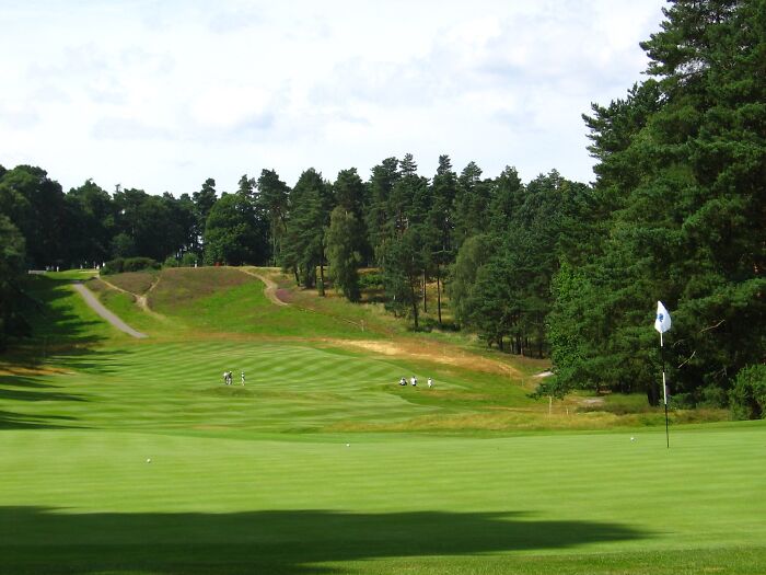 Beautiful golf course with rolling greens and pine trees, attracting golfers globally for a round.