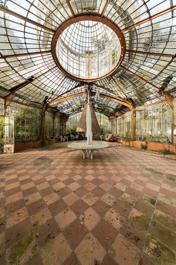 Abandoned glass conservatory with a checkerboard floor and overgrown vegetation, showcasing decayed beauty.