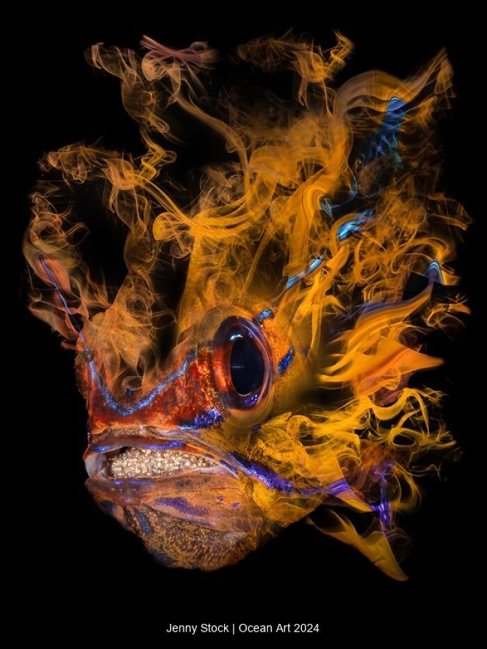 Underwater photo of a vibrant fish surrounded by colorful patterns.