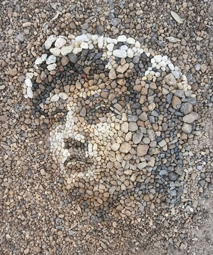 Pebble mosaic art depicting a human face, using various sizes and colors of stones to create an intricate, temporary design.