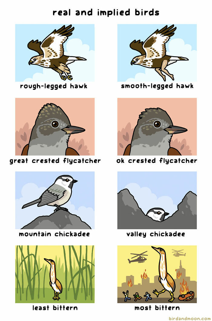 Comics of humorous moments in nature featuring birds with funny implied names.