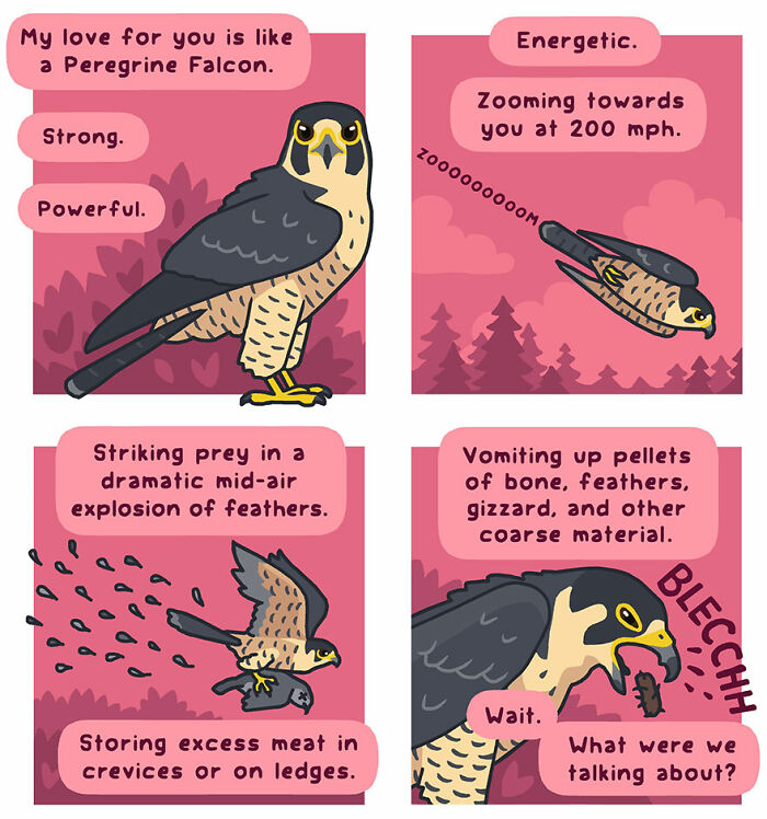 Comic of a peregrine falcon humorously depicting traits and behaviors in nature.
