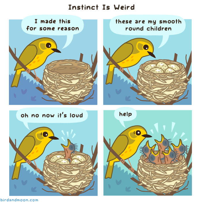 Comic depicting humorous moments in nature with a bird reacting to its noisy nest of chicks.