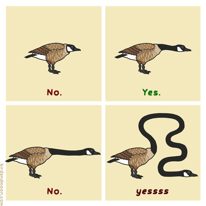 Comic depicting humorous moments in nature with a goose stretching its neck in different ways.