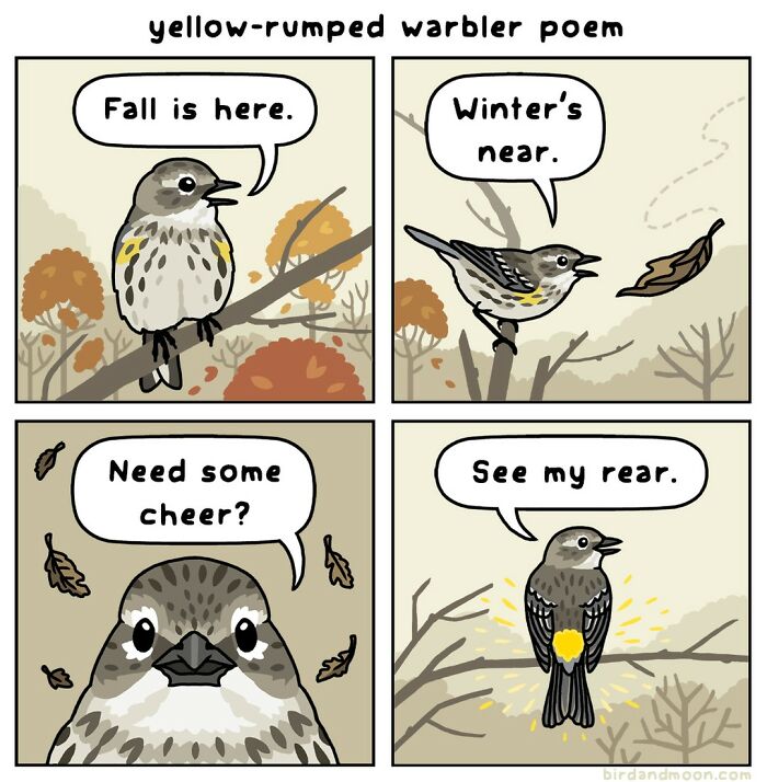 Comic of a yellow-rumped warbler humorously highlighting nature's seasonal changes with a playful rhyme.
