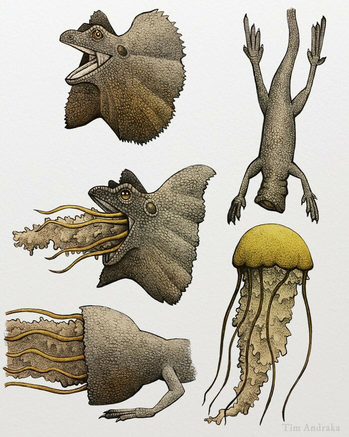 Surreal animals illustrated in a scientific style, featuring unique creatures with elements of dinosaurs and sea life.