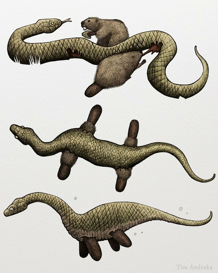 Surreal animals illustrated in a scientific encyclopedia style, featuring beaver-snake hybrids with scales and fur.