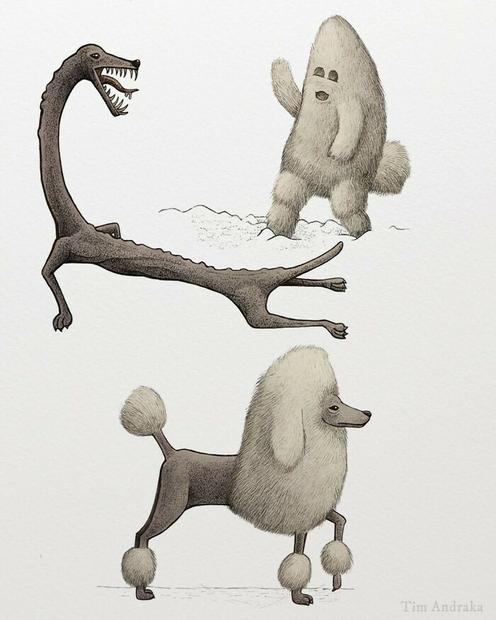 Surreal animals illustrated in a scientific encyclopedia style: a long-necked creature, a furry humanoid, and a poodle.