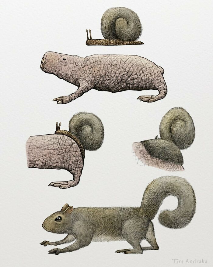 Surreal animals illustrated in a scientific style, featuring creatures with snail-shell tails and textured skin.