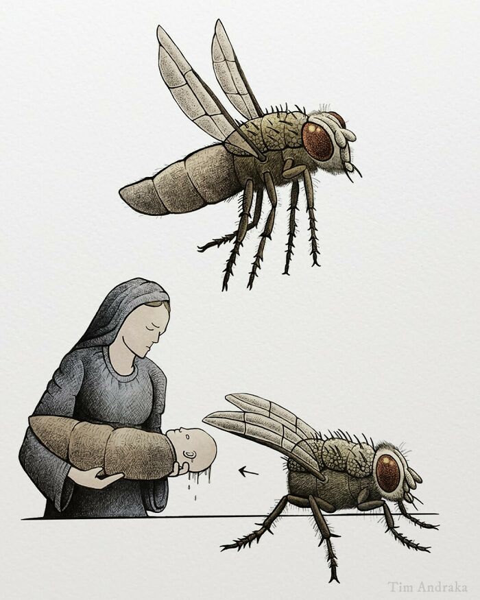 Surreal animal illustration with a woman holding a baby, resembling a fly in a scientific encyclopedia style.