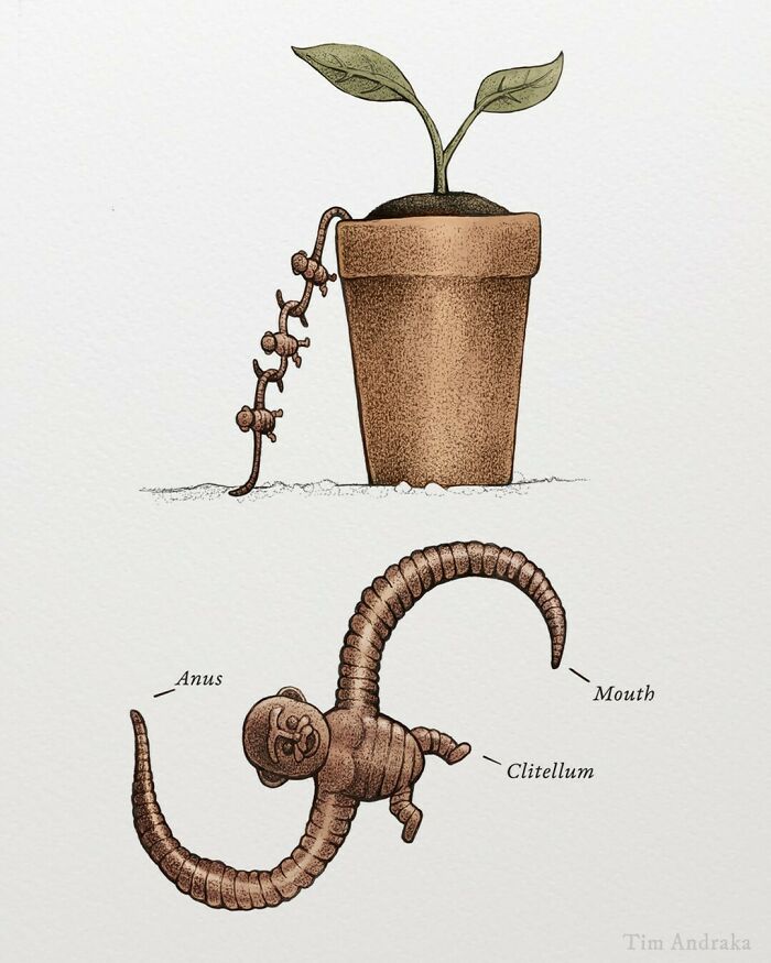 Surreal animals illustration with plant pot and coiled creature in scientific style.