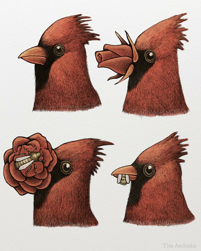 Surreal animals illustrated in a scientific style, featuring birds with unusual features like flowers and beetles.