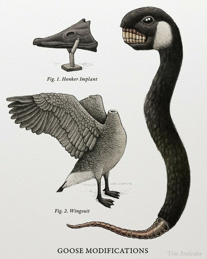 Surreal animal illustration with a comical goose featuring a long neck and teeth, styled like a scientific encyclopedia.