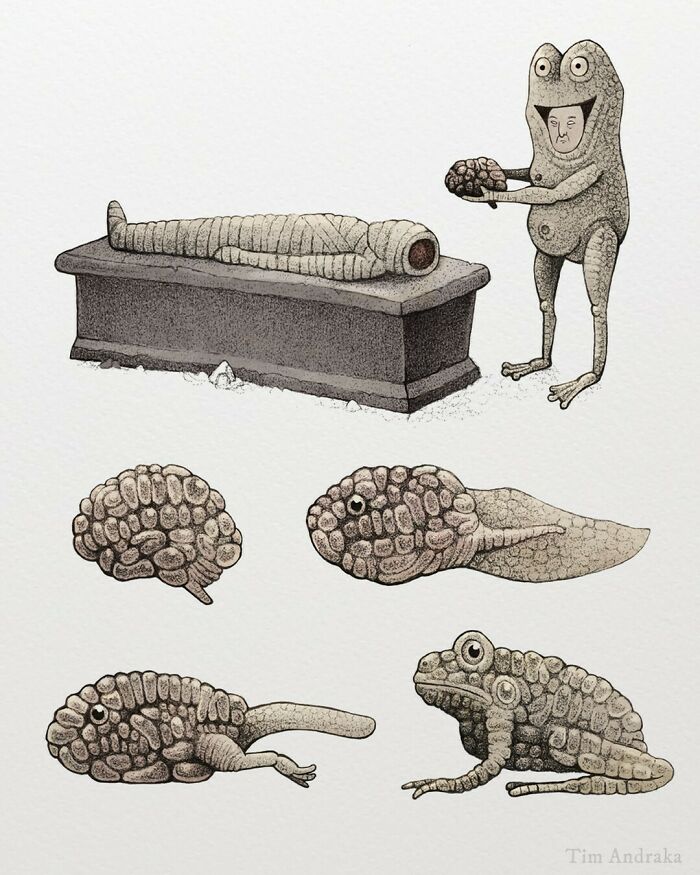Surreal animal illustration in an encyclopedia style, depicting funny-looking creatures with textured bodies and quirky details.