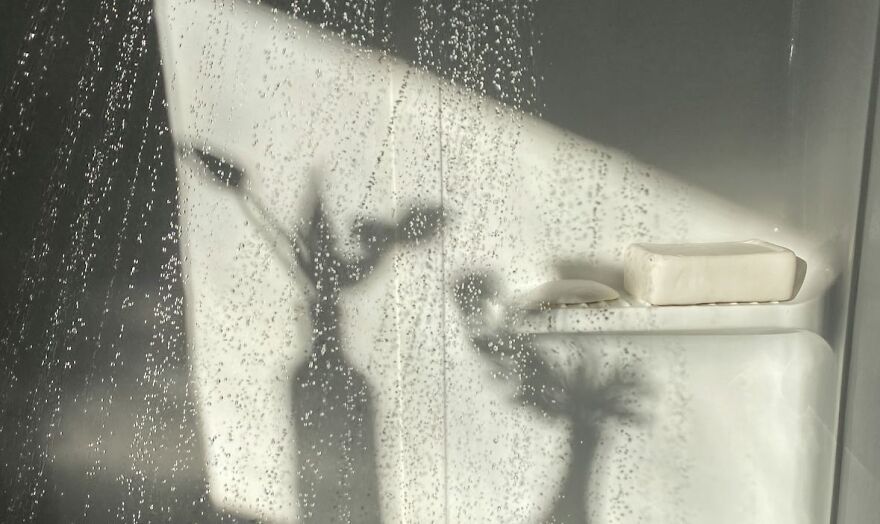Night shower with soap bar in focus, droplets on glass, and shadow of plant, highlighting the debate on best shower time.