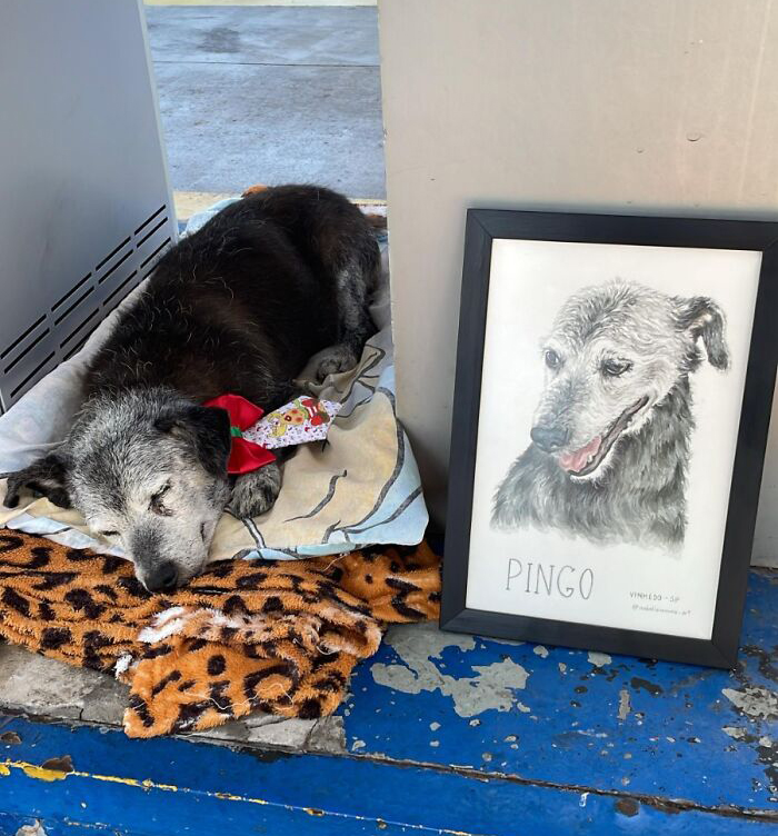Stray dog at gas station sleeping on blankets with painted portrait beside him. Stray dog at gas station sleeping on blankets with painted portrait beside him.