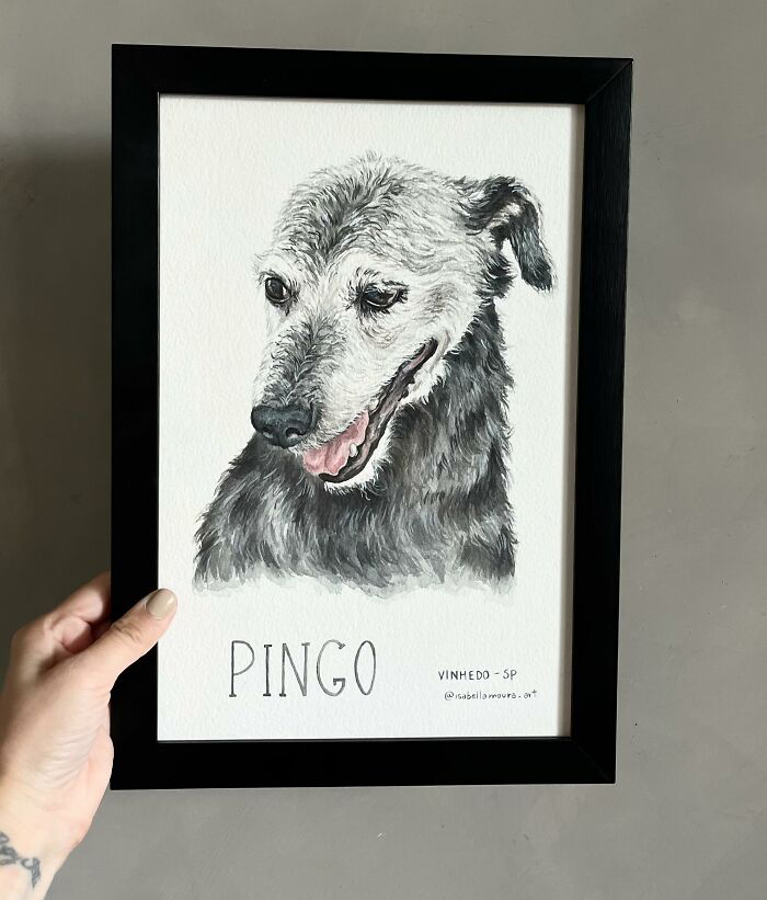 Framed portrait of a stray dog named Pingo, with a smiling expression, chosen as a gas station resident. Framed portrait of a stray dog named Pingo, with a smiling expression, chosen as a gas station resident.