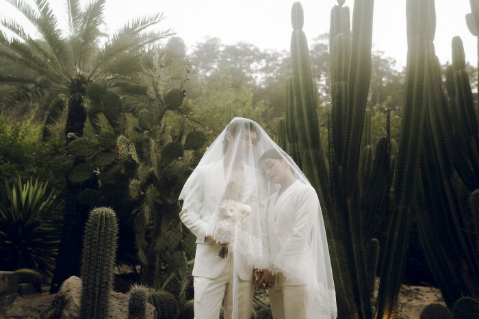 Couple in white suits under a veil among cacti, capturing one of the best engagement photos of 2025.