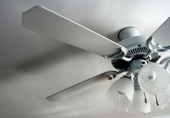 Ceiling fan with lights, a peculiar object relating to stories of weird things removed from bodies.