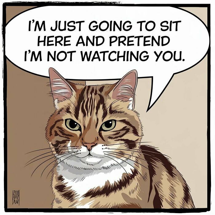 Tales Of Whiskers & Mischief: My Interpretations Of The Great Box Heist