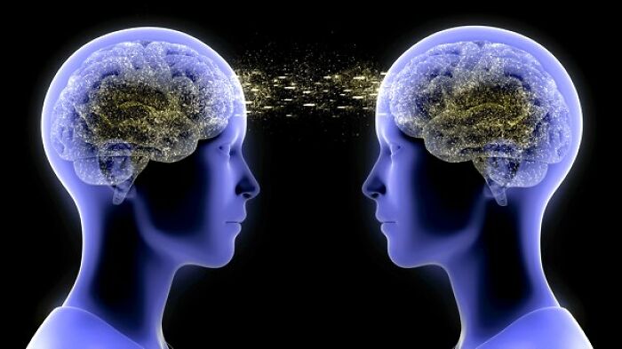 Illustration of two human heads with illuminated brains, highlighting traits in a conceptual exchange of thoughts.