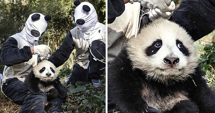 40 Times Evil Geniuses Pretended To Be Someone Else And Got Away With It (New Pics)