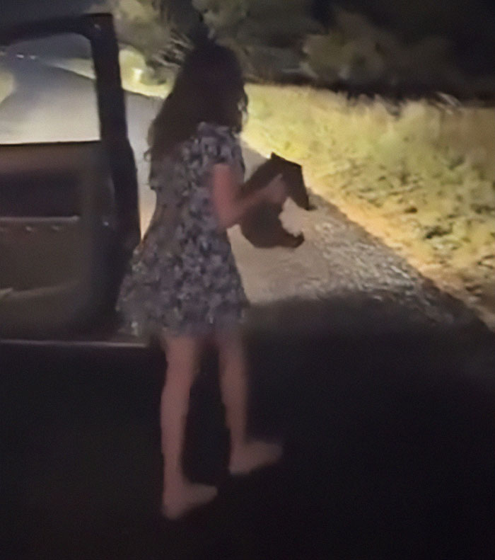 US tourist holding a baby wombat by a car at night, on a rural road. US tourist holding a baby wombat by a car at night, on a rural road.
