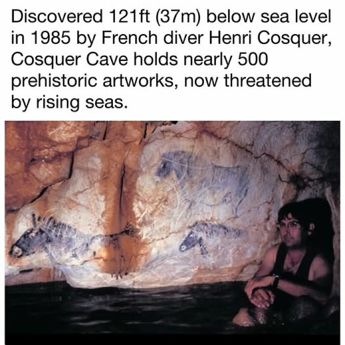 Diver in Cosquer Cave with ancient artwork, discovered underwater. Ancient history and prehistoric art threatened by sea levels.
