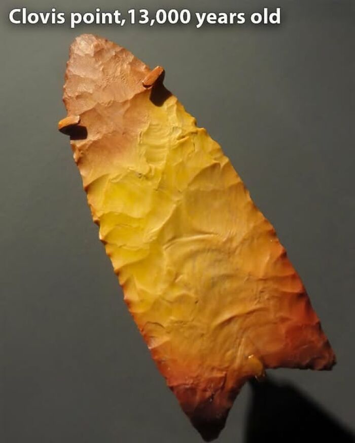 Ancient Clovis point artifact, 13,000 years old, showcasing early craftsmanship.