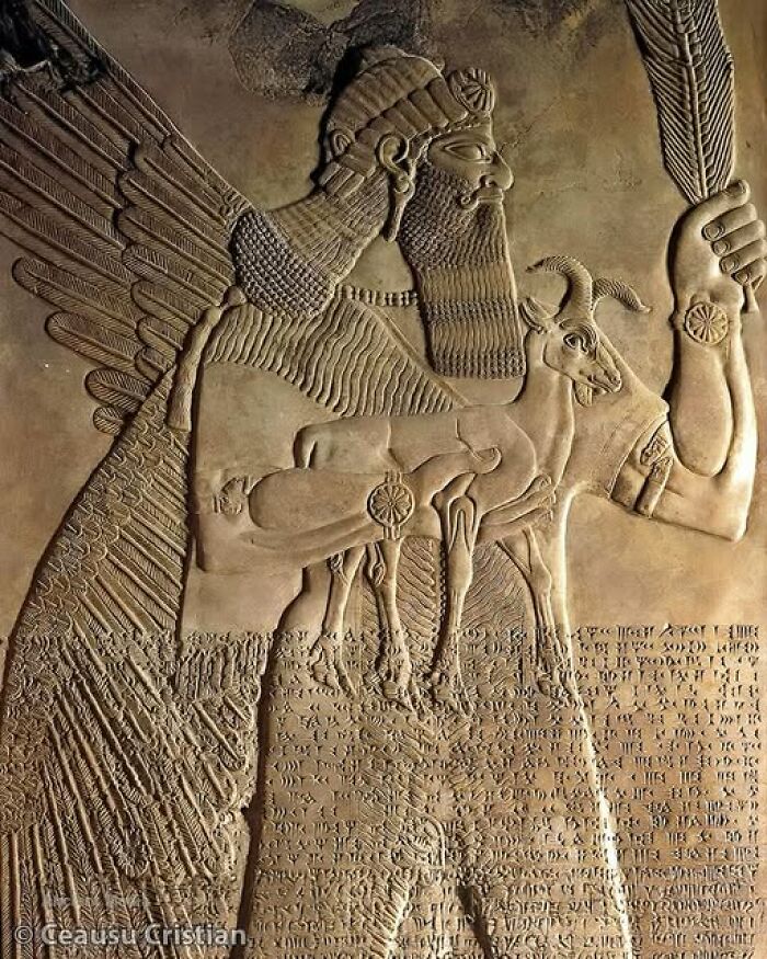 Ancient history stone relief depicting a winged figure and cuneiform script.