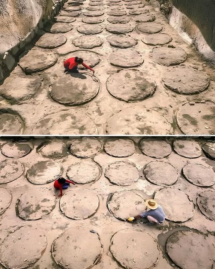 Ancient history excavation site with circular formations, explored by two people.