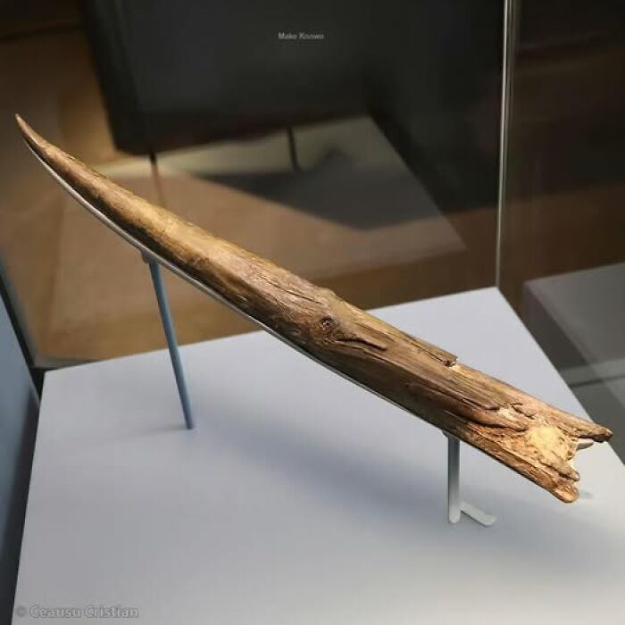 Ancient wooden spear artifact displayed on a stand, showcasing craftsmanship of past civilizations.