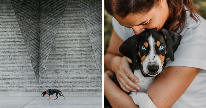 21 Heartwarming Photos Capturing The Special Bond Between Animals And Their Humans By Lea Styger
