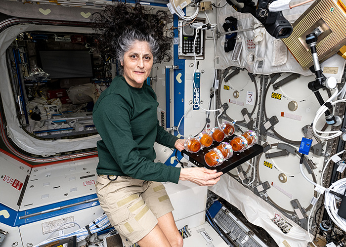 Astronaut in spacecraft interior, showcasing space health experiment, related to recent health detail discovery.