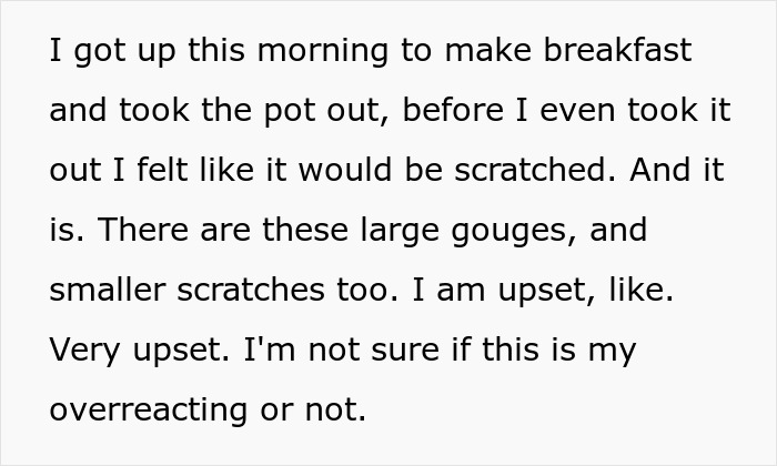 Clueless Guy Ruins $200 Pan That His GF Sold A Gaming Console To Get Him, She&rsquo;s Devastated 