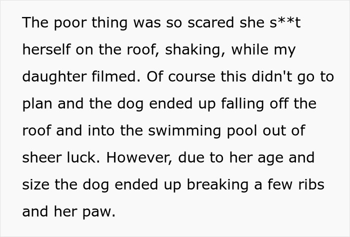 Image contains text about an injured dog falling off a roof, which highlights a teen's actions for views.