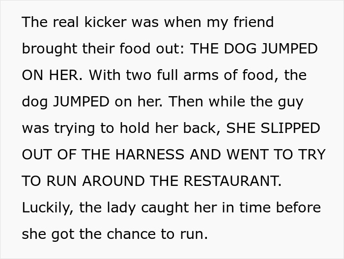 Text describing a chaotic scene with a fake service dog jumping on a server in a restaurant.