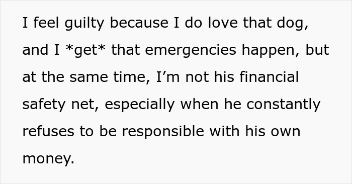 Text discussing financial responsibility issues between partners and a dog's vet bill.