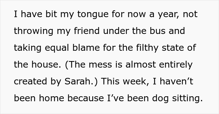 Text discussing a best friend and messy living situation due to Sarah, with an absence for dog sitting.
