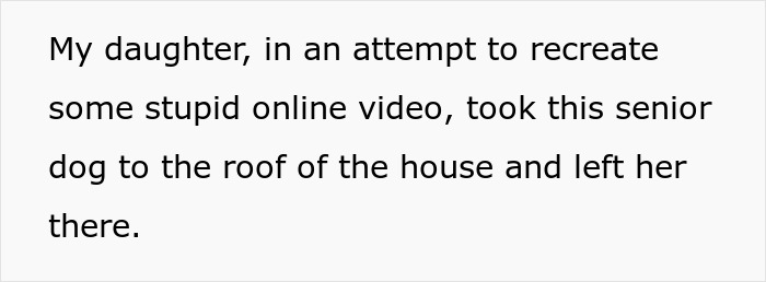 Text screenshot describing a teen's actions causing harm to a lady's dog.