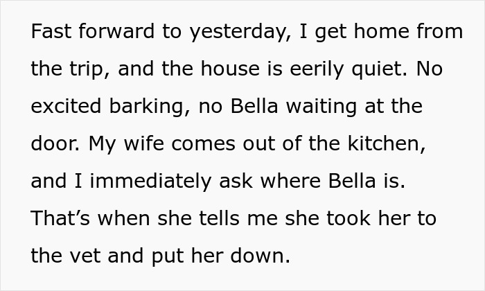 Text describing man losing dog and trust after wife puts pet down without telling him.