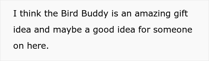 Text discussing the Bird Buddy as a potential gift idea. Text discussing the Bird Buddy as a potential gift idea.