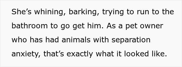 Text from an article about a server and fake service dog situation.