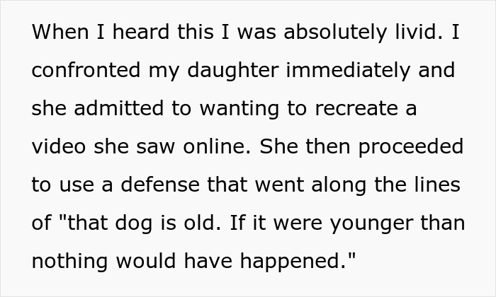 Text discussing a teen recreating a video, leading to a dog's injury and sparking a conversation about responsibility and views.