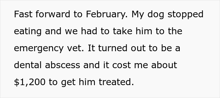 Text about spending $1,200 on a dog's emergency vet visit for a dental abscess. Text about spending $1,200 on a dog's emergency vet visit for a dental abscess.