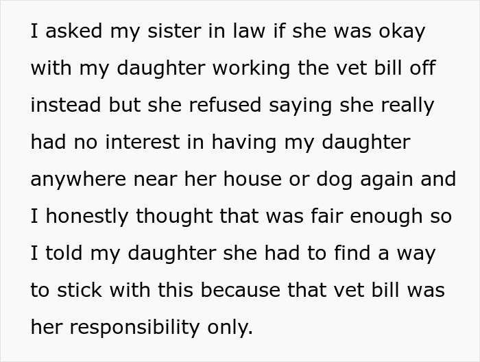 Text about resolving a vet bill after a teen hurts a lady's dog, affecting service dog plans.