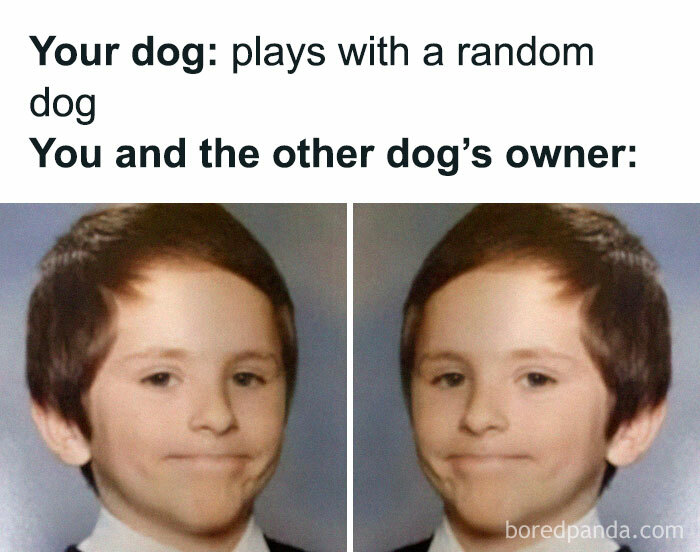 Awkward moment with two kids making similar faces, capturing the uncomfortable interaction after dogs meet unexpectedly.