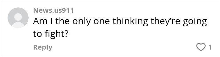 Comment expressing concern over perceived tension, suggesting an argument might happen. Comment expressing concern over perceived tension, suggesting an argument might happen.