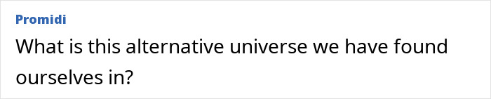 Comment questioning reality in response to Bikini Tradie billboard seeking sugar daddy.