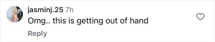 Instagram comment reacting to a "bikini tradie" controversy in search of a "sugar daddy" via mobile billboard.